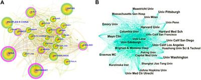 Bibliometric and Visual Analysis of Vascular Calcification Research